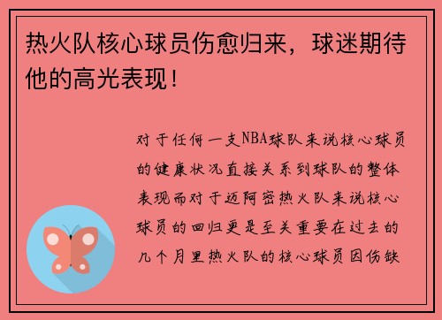 热火队核心球员伤愈归来，球迷期待他的高光表现！